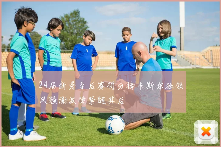 24届新秀季后赛得分榜卡斯尔独领风骚谢泼德紧随其后