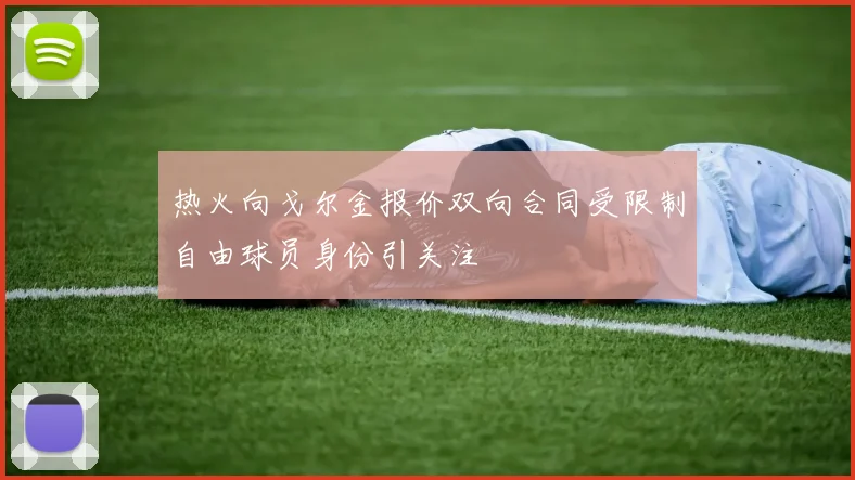热火向戈尔金报价双向合同受限制自由球员身份引关注